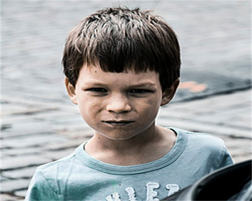 深度解读国内部分省会城市借卵试管咨询的要点与注意事项